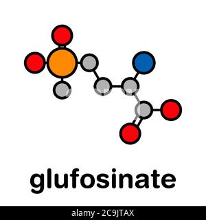 Molécule d'herbicide non sélectif de glufosinate (phosphinothricine). Des cultures transgéniques (OGM) résistantes au glufosinate ont été créées. S stylisé Banque D'Images