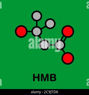 Molécule de métabolite de la leucine de l'acide bêta-hydroxy-bêta-méthylbutyrique (HMB). Utilisé comme supplément, peut augmenter la force et la masse musculaire. Squelette stylisé f Banque D'Images