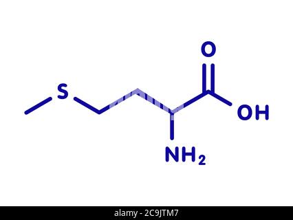 Molécule d'acide aminé méthionine (L-méthionine, met, M). Formule squelettique bleue sur fond blanc. Banque D'Images