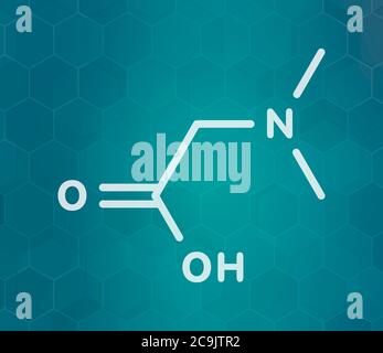 Molécule de diméthylglycine (DMG). Dérivé méthylé de la glycine, utilisé dans les suppléments nutritionnels d'amélioration de la performance. Formule blanche du squelette sur dar Banque D'Images
