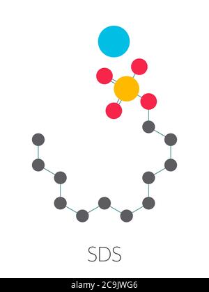 Molécule de surfactant au dodécyl sulfate de sodium (SDS, lauryl sulfate de sodium). Couramment utilisé dans les produits de nettoyage. Formule squelette stylisée (chimique Banque D'Images