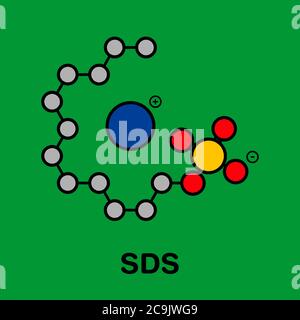 Molécule de surfactant au dodécyl sulfate de sodium (SDS, lauryl sulfate de sodium). Couramment utilisé dans les produits de nettoyage. Formule squelette stylisée (chimique Banque D'Images