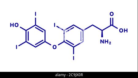 Thyroxine (T4, lévothyroxine) molécule d'hormone thyroïdienne. Prohormone de la thyronine (T3). Utilisé comme médicament pour traiter l'hypothyroïdie. Formule squelette bleu sur W Banque D'Images