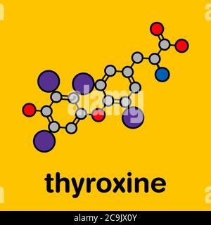 Thyroxine (T4, lévothyroxine) molécule d'hormone thyroïdienne. Prohormone de la thyronine (T3). Utilisé comme médicament pour traiter l'hypothyroïdie. Formule squelette stylisée Banque D'Images