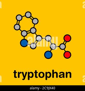 Molécule d'acide aminé tryptophane (l-tryptophane, TRP, W). Formule squelettique stylisée (structure chimique). Les atomes sont représentés sous forme de cercles avec code couleur Banque D'Images