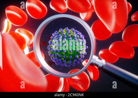 Recherche sur le coronavirus. Illustration d'un microscope montrant une particule de coronavirus contenant des globules rouges (érythrocytes). Différentes souches de coronavirus Banque D'Images