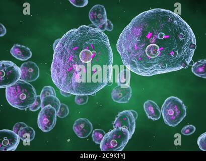 Chlamydia trachomatis bactéries, illustration de l'ordinateur. Chlamydia trachomatis provoque une infection transmise sexuellement qui peut passer inaperçue à cause Banque D'Images