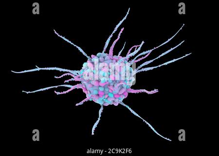 Cellule dendritique, illustration de l'ordinateur. Une cellule dendritique est un type de globules blancs. Il s'agit d'une cellule présentant des antigènes (APC), qui présente des antigènes Banque D'Images