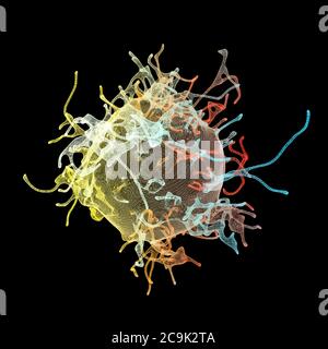 Les cellules de cancer, l'illustration de l'ordinateur. Banque D'Images