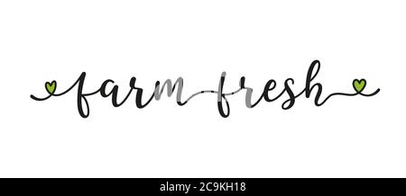 Citation de Farm Fresh esquissée à la main sous forme de bannière ou de logo. Lettrage pour l'en-tête, l'étiquette, l'annonce, la publicité Illustration de Vecteur