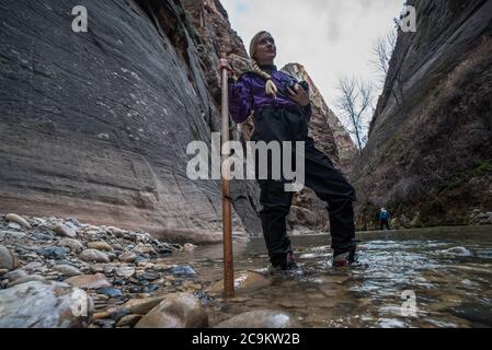 La randonnée dans le parc national de Zion consiste à marcher et à barboter dans la rivière vierge au fond d'un magnifique canyon. Banque D'Images