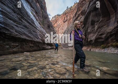 La randonnée dans le parc national de Zion consiste à marcher et à barboter dans la rivière vierge au fond d'un magnifique canyon. Banque D'Images
