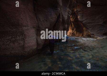 La randonnée dans le parc national de Zion consiste à marcher et à barboter dans la rivière vierge au fond d'un magnifique canyon. Banque D'Images