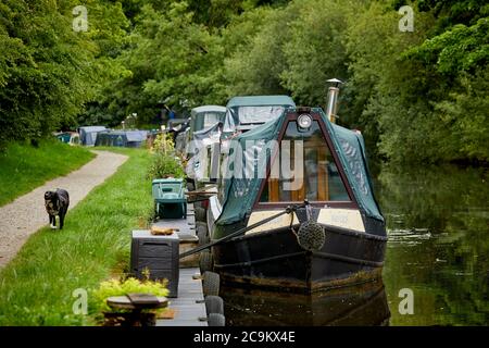 De Liverpool au canal de Leeds à Wheelton, Chorley. Les barges du Lancashire ont marré sur le chemin de halage Banque D'Images