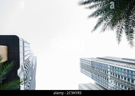 Silhouettes modernes en verre de gratte-ciel dans la grande ville. Prise de vue à angle bas Banque D'Images