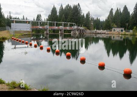 Le barrage et le réservoir Prospect no 1 sur la rivière Rogue, en Oregon, aux États-Unis Banque D'Images