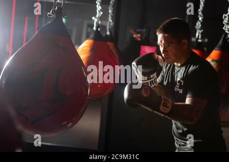 Brentwood Essex 1er août 2020 UN nouveau Covid safe boutique fitness Boxing studio, Box Gym Fitness ouvre aujourd'hui à Brentwood Essex Royaume-Uni crédit: Ian Davidson/Alamy Live News Banque D'Images