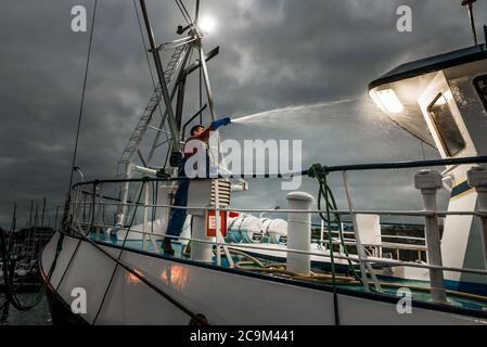 Kinsale, Cork, Irlande. 1er août 2020. Membre de l'équipage du chalutier Sowenna, Armands Andrieks nettoyant le pont après avoir déchargé ses prises de Hake à la jetée de Kinsale, Co. Cork, Irlande. - crédit; David Creedon / Alamy Live News Banque D'Images