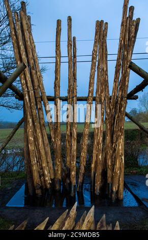 Préserver les poteaux de houblon en bois de châtaignier en créosote pour les préserver de pourriture dans le sol dans le jardin de houblon à l'aide d'un réservoir vieux de 100 ans. Banque D'Images