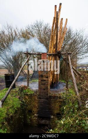 Préserver les poteaux de houblon en bois de châtaignier en créosote pour les préserver de pourriture dans le sol dans le jardin de houblon à l'aide d'un réservoir vieux de 100 ans. Banque D'Images