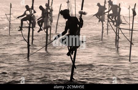 Pêcheurs traditionnels de pilotis près de Koggala dans le sud du Sri Lanka Banque D'Images