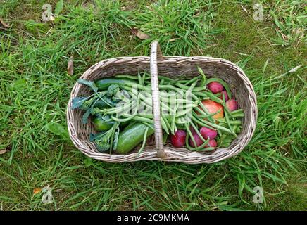 Panier de fruits et légumes en osier avec haricots, pommes, courgettes Banque D'Images