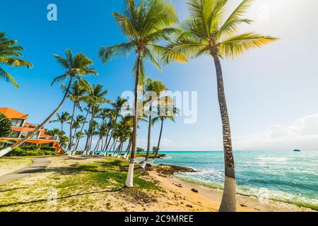 Soleil qui brille sur la plage du Bas du fort en Guadeloupe, antilles françaises. Petites Antilles, mer des Caraïbes Banque D'Images