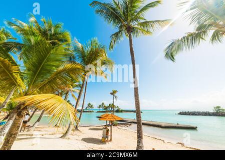 Soleil qui brille sur la plage du Bas du fort en Guadeloupe, antilles françaises. Petites Antilles, mer des Caraïbes Banque D'Images