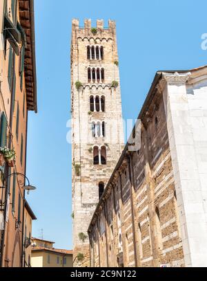 Clocher de la basilique de San Frediano, est une église romane dans la vieille ville de Lucca, Toscane, Italie Banque D'Images