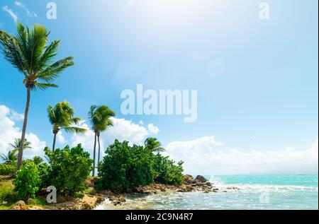 Soleil brillant sur la belle plage du Bas du fort en Guadeloupe, antilles françaises. Petites Antilles, mer des Caraïbes Banque D'Images