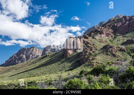 Sentier Dripping Springs, Las Cruces, NOUVEAU-MEXIQUE, n° 8359 Banque D'Images