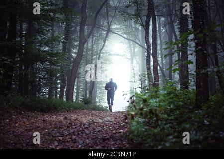 Paysage de forêt brumeux, avec un coureur mâle, sentier de course au loin. Banque D'Images