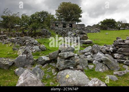 Ce cottage en pierre abandonné se trouve dans le parc national de Snowdonia, dans le nord du pays de Galles. Il se trouve à proximité du village de Deiniolen. Banque D'Images