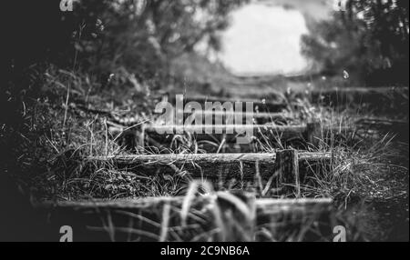 pas dans la nature pays sentiers paysages noir et blanc fond horizontal Banque D'Images