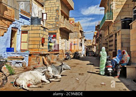 La vie quotidienne de la vieille ville indienne Jaisalmer. Les gens et les vaches dans les rues. Rajasthan février 2013. Inde Banque D'Images