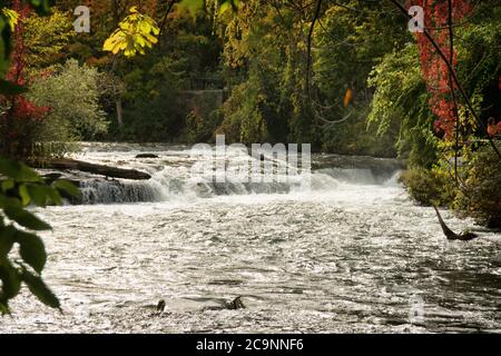 Eau rapide sur la rivière Niagara aux couleurs de l'automne, depuis le pont sur Goat Island Road, Niagara Falls, États-Unis Banque D'Images