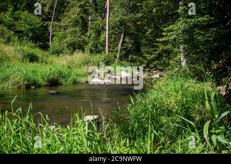 Křemžský potok, une rivière distributaire à la Vltava, République tchèque Banque D'Images