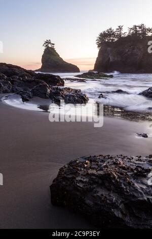 Le soleil se couche sur Secret Beach, sur la côte sud de l'Oregon, au coucher du soleil, avec ses nombreux îlots recouverts d'arbres à feuilles persistantes et de vagues floues qui se déplacent vers l'intérieur Banque D'Images