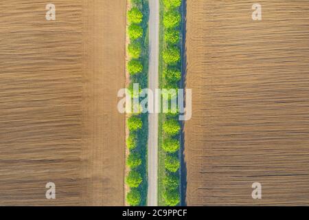 Paysage rural avec champs. Vue aérienne des rangées de sol avant la plantation. Sillons le modèle de rangée dans un champ labouré préparé pour la plantation de cultures au printemps Banque D'Images