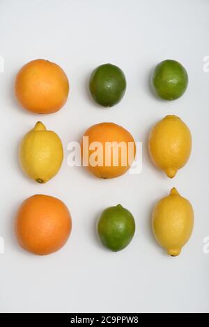 FÊTE DES AGRUMES : une collection d'oranges, de limes et de citrons est disposée dans une couche plate sur un fond blanc pur. Banque D'Images