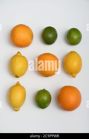 FÊTE DES AGRUMES : une collection d'oranges, de limes et de citrons est disposée dans une couche plate sur un fond blanc pur. Banque D'Images