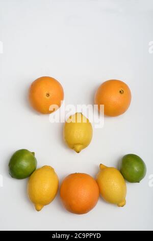 FÊTE DES AGRUMES : une collection d'oranges, de limes et de citrons est disposée dans une couche plate sur un fond blanc pur. Banque D'Images