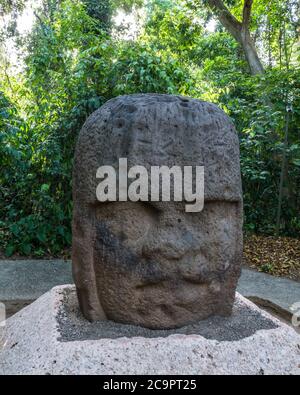 Monument 3, le Jeune guerrier, des ruines d'Olmec de la Venta. Période préclassique (700-400 av. J.-C.). Musée la Venta, Villahermosa, Mexique. Banque D'Images