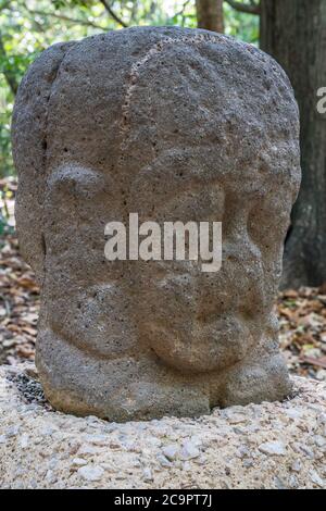 Monument 65, l'Acrobat, des ruines d'Olmec de la Venta. Période préclassique (700-400 av. J.-C.). Musée la Venta, Villahermosa, Mexique. Banque D'Images