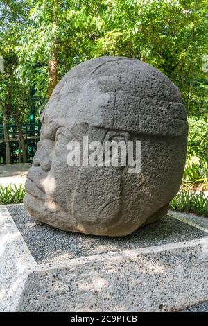 Une tête de pierre sculptée géante des ruines d'Olmec de la Venta. Période préclassique (700-400 av. J.-C.). Musée la Venta, Villahermosa, Mexique. Banque D'Images