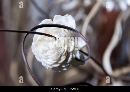 arrière-plan flou de paille sèche, de feuilles et de fleurs artificielles Banque D'Images