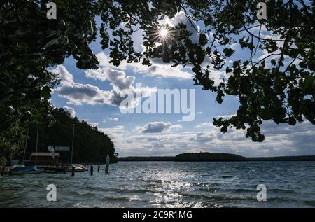 Neuglobsow, Allemagne. 29 juillet 2020. Le Großer Stechlinsee en fin d'après-midi avec le soleil bas dans le ciel, qui crée la paillettes sur l'eau. Il fait partie du parc naturel de la terre de Stechlin-Ruppiner, appartient au district du lac de Rheinsberg dans la zone naturelle de la Neustrelitzer Kleinseenland, est connu pour sa bonne qualité de l'eau et à 70 mètres est le lac le plus profond de Brandebourg. Credit: Jens Kalaene/dpa-Zentralbild/ZB/dpa/Alay Live News Banque D'Images