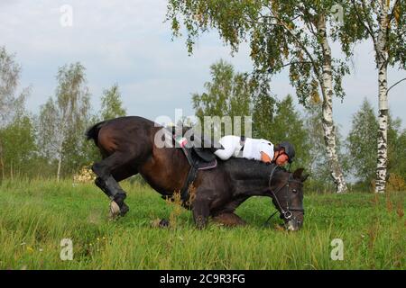 Accident survenu à l'aller - concurrent de tomber de son cheval dans le cas de cross-country Banque D'Images