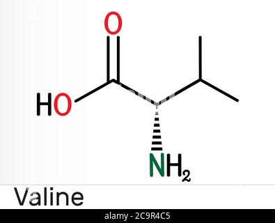 Valine, Val, molécule d'acide aminé L-valine. Il est utilisé dans la biosynthèse des protéines. Formule chimique structurelle. Illustration Banque D'Images