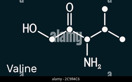 Valine, Val, molécule d'acide aminé L-valine. Il est utilisé dans la biosynthèse des protéines. Formule chimique structurelle.Illustration Banque D'Images